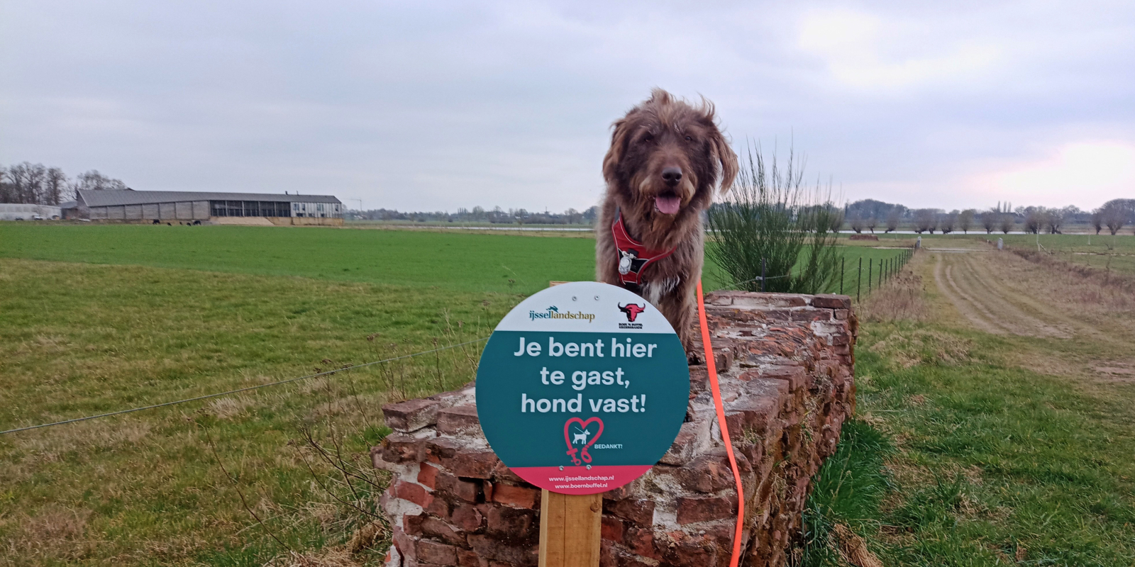 Gerrit 3