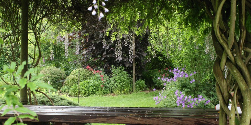 Biodiverse & eetbare tuin