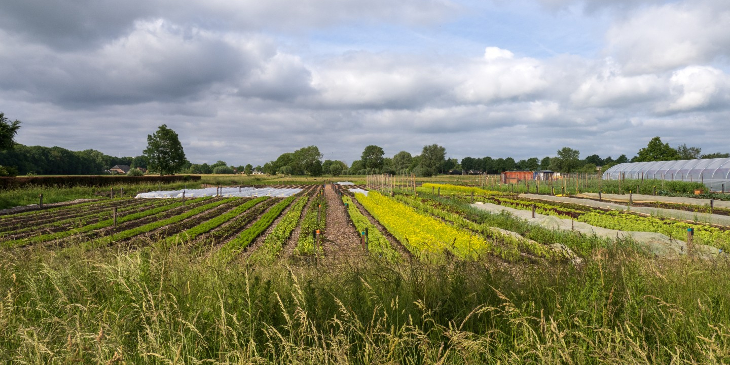 Voedselbos Zwolle  2025 (2)