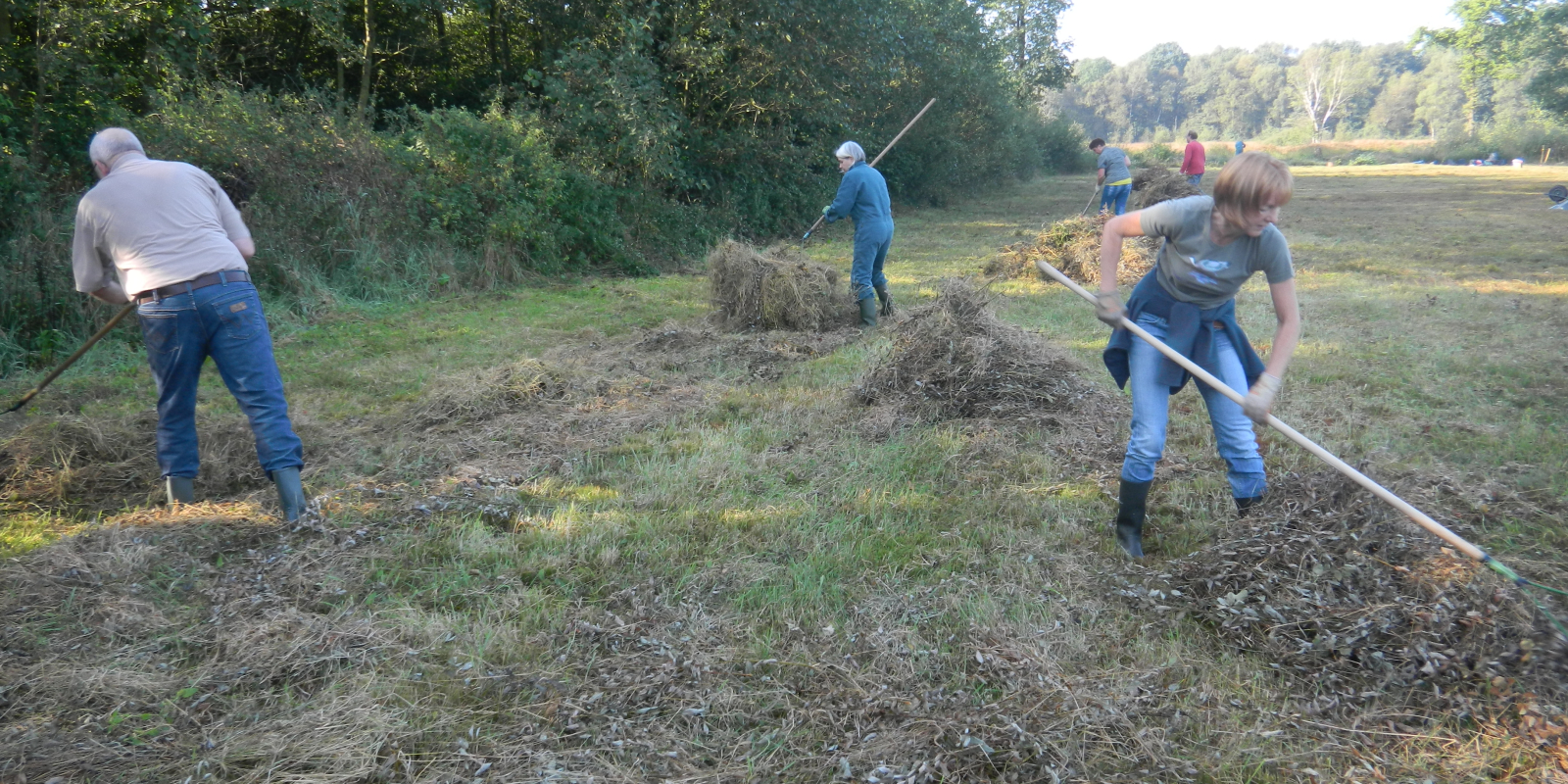 Maaisel ruimen Varviksveld #1