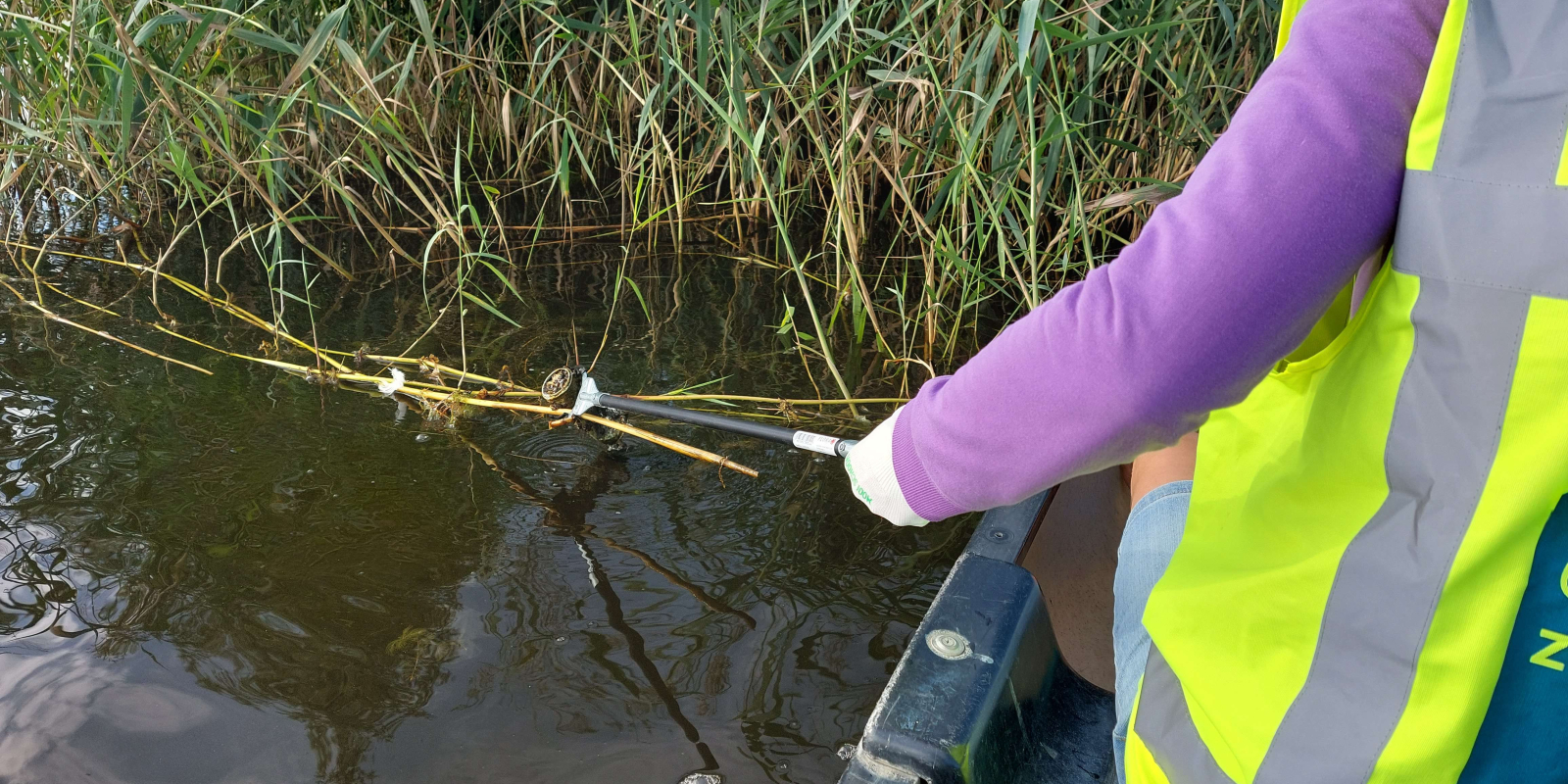 Afval tussen het riet