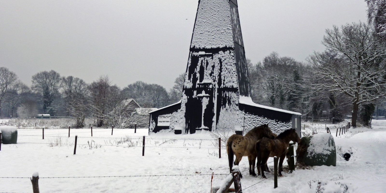 Twekkelo winter 2010 