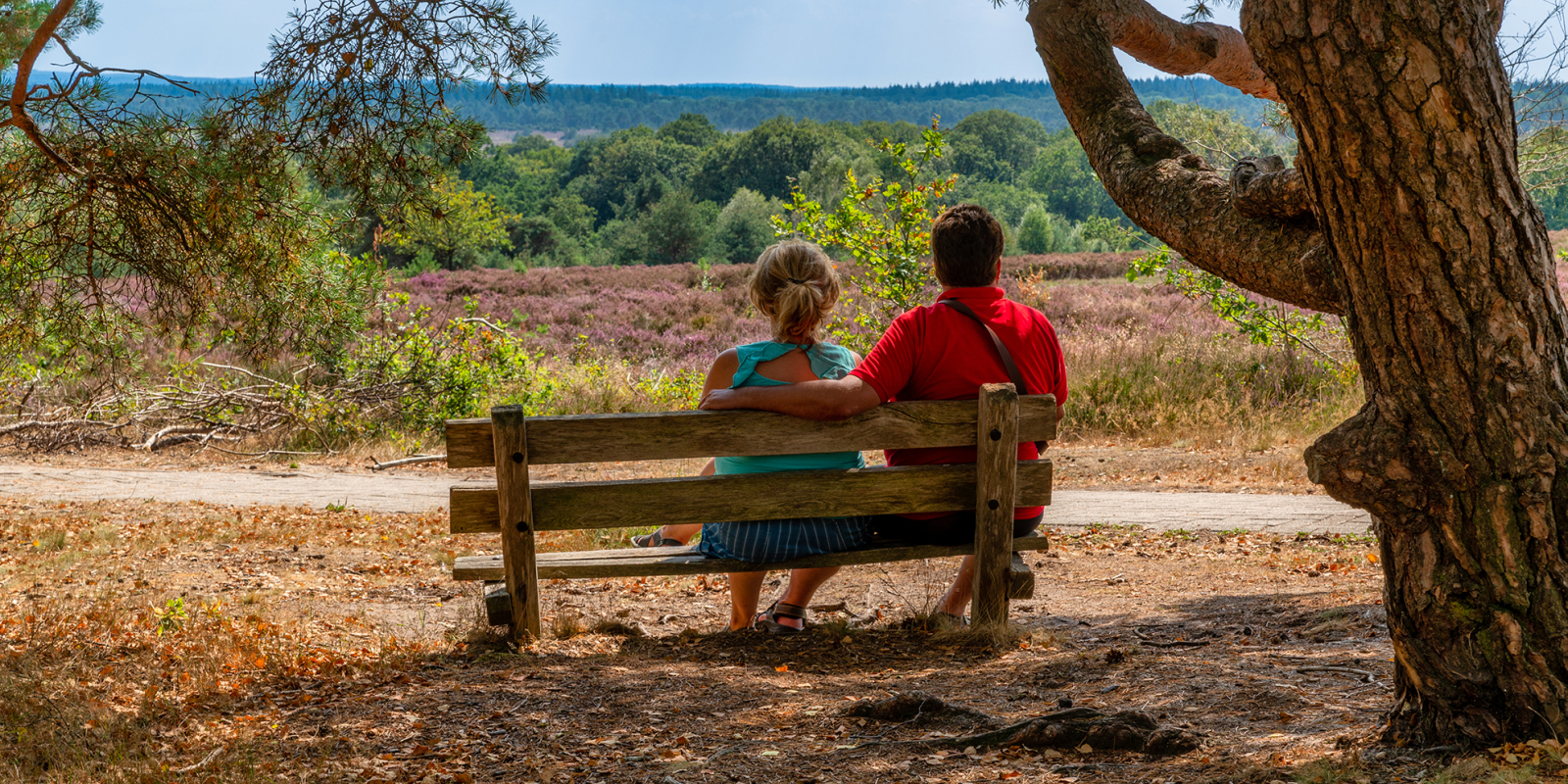 Sallandse Heuvelrug-1-Ellen van den Doel  website