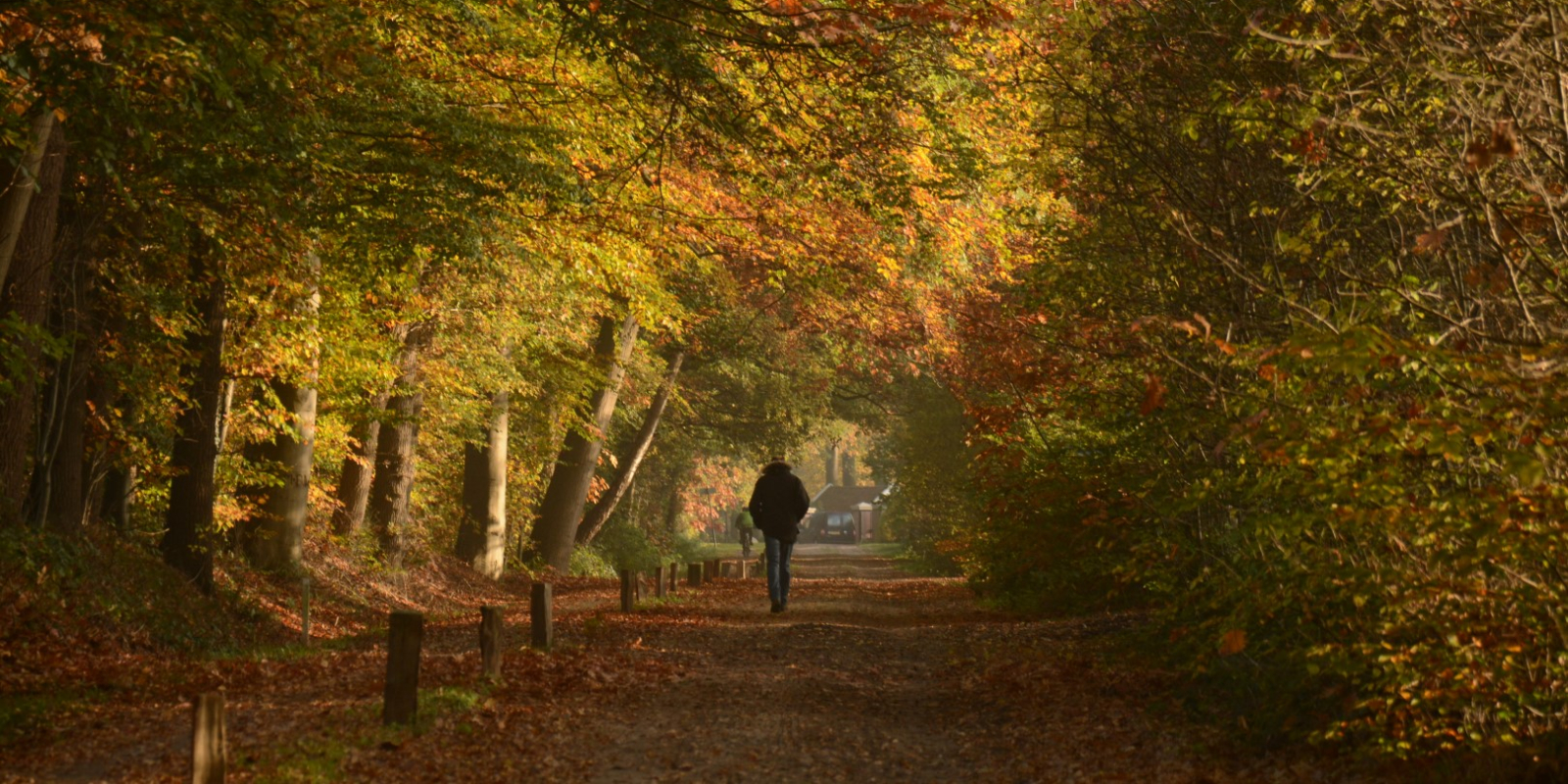 NKL Herfstsferen nabij Ootmarsum