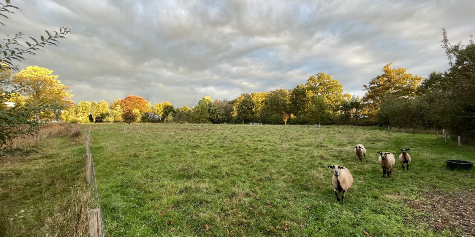 landje van niets 2 (6) (Groot)