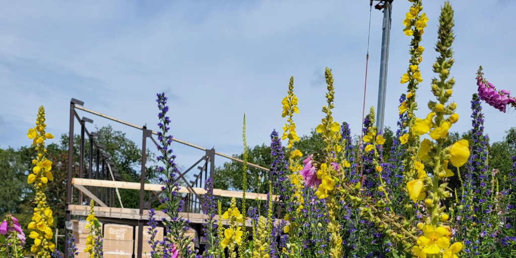 Biobased pand in aanbouw