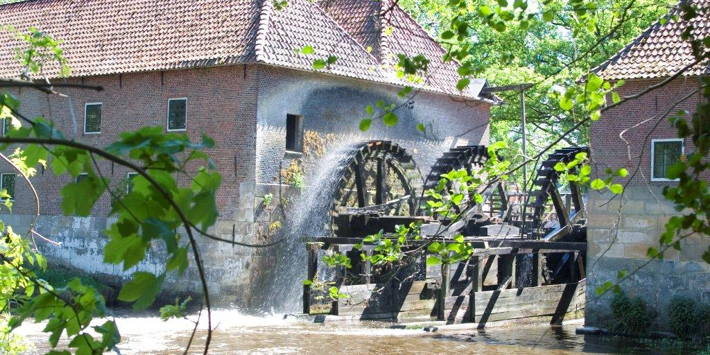 waterdoedag
