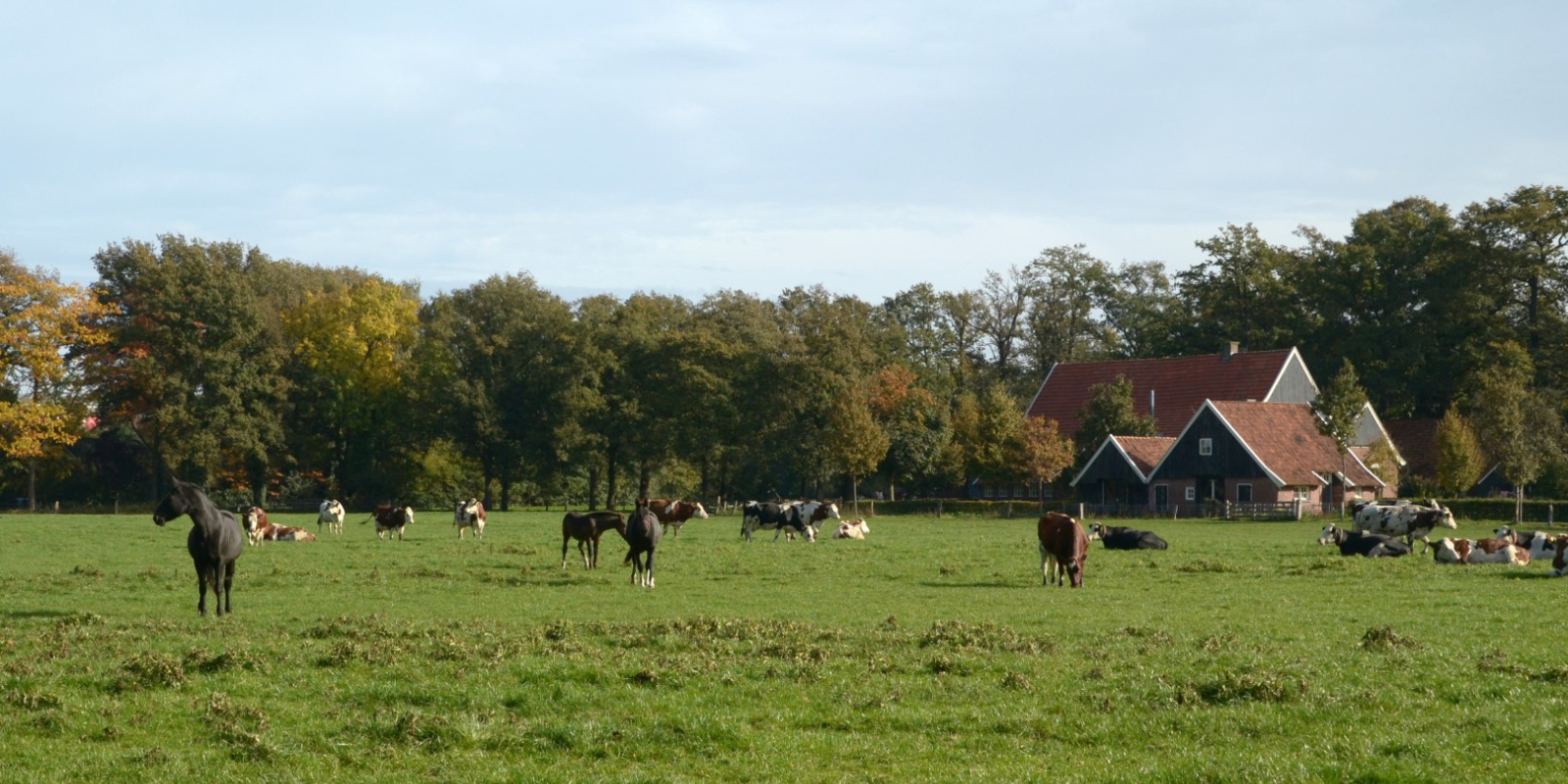 NKL Enschede, Twekkelo Boerderijen (2)