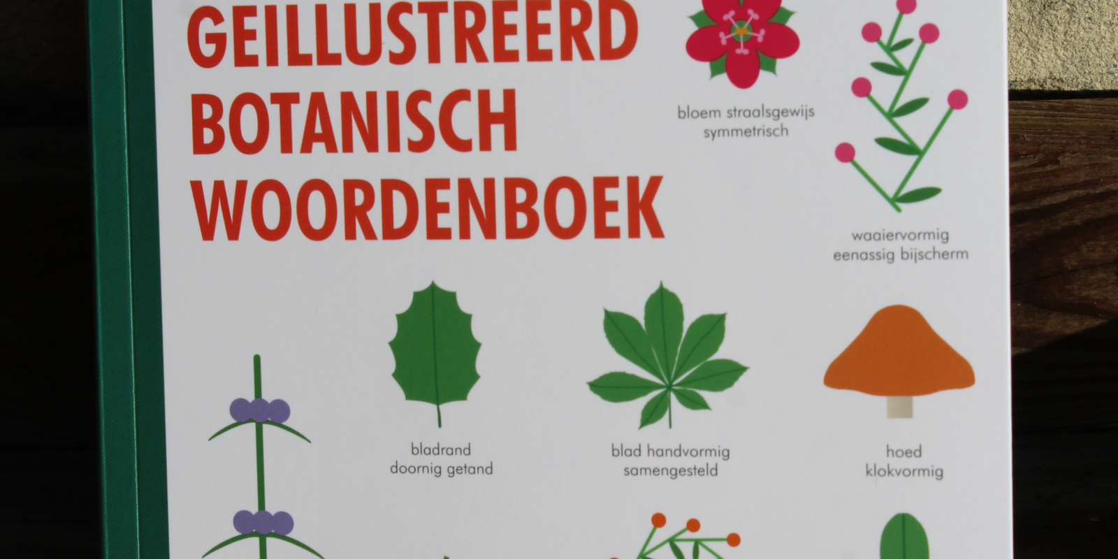 groenlezen_botanisch woordenboek