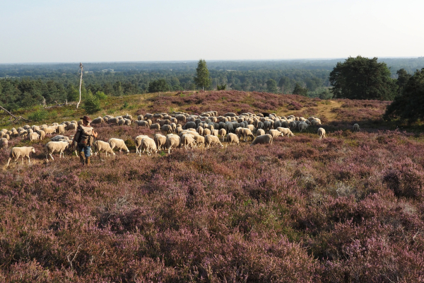 Dat magistrale uitzicht
