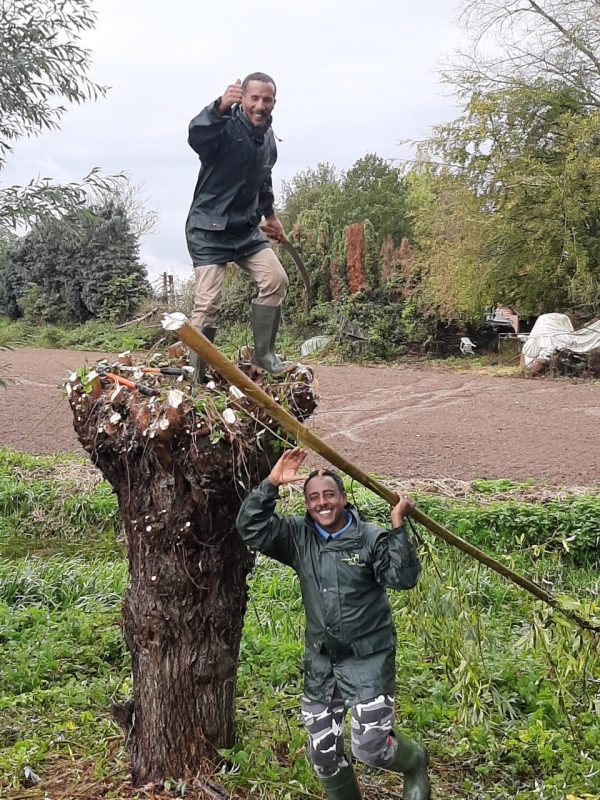 Natuurwerkdag 2019