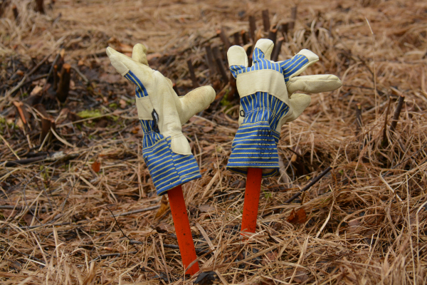 Steek je ook de handen uit de mouwen voor een mooier landschap? Nomineer!
