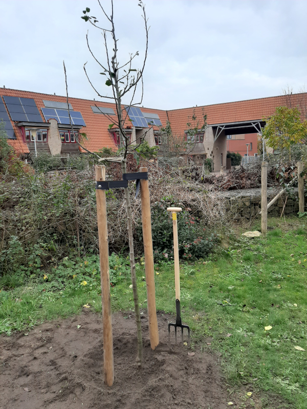 Voor iedereen in Overijssel een boom