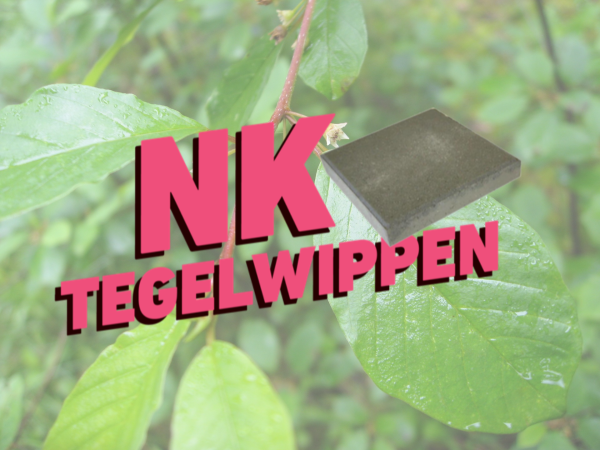 NK Tegelwippen in Zwolle