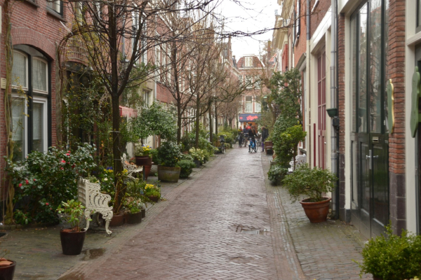 De 'ideale' groene straat