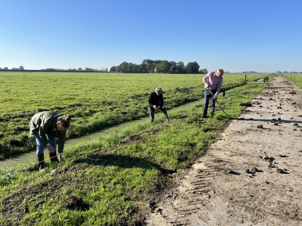 Vrijwilligers aan het werk op de locatie Hasselt