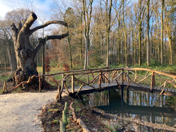 Het driepuntsbruggetje in de Horte. Foto: Britta Schmidt