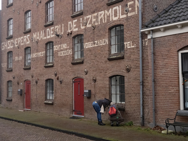 Eindejaars plantenjacht in Deventer