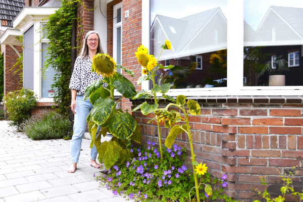 Stapje voor stapje naar een groen tuin