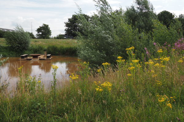 De waterpartij in de Koppeltuinen