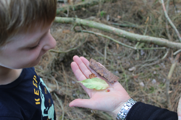 alle natuur is mooi