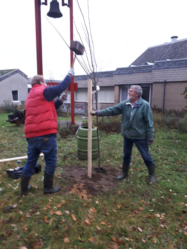 planten van een fruitboom