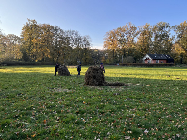 De muizenruiters op ’t Schol