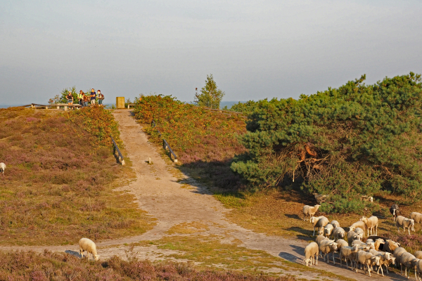 Toeristen op de top van de Lemelerberg