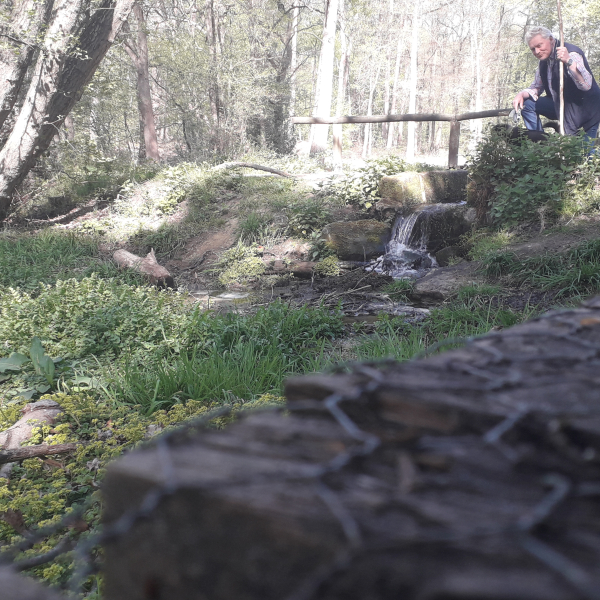 Herontdekking van de natuur