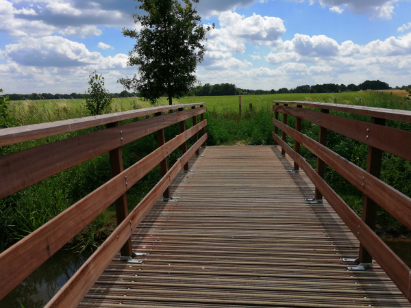 Wandelen over Het Hoge Vonder