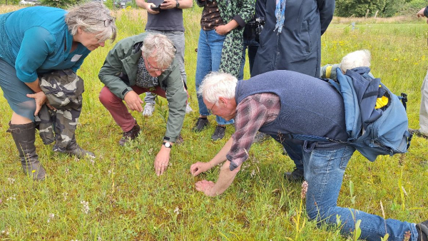 Met elkaar in het gras zoeken op het Groenbezigfestival