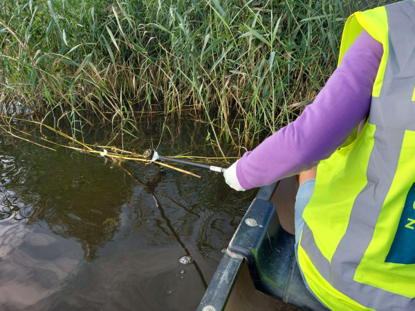 Help de natuur tijdens World Cleanup Day