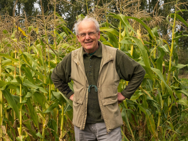 Wim Broeks