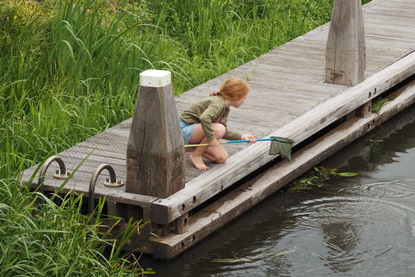 waterdiertjes vangen