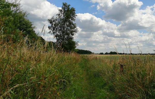 Tussen Deurningerbeek en Deurninger Es