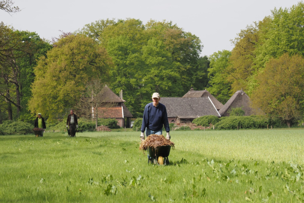Paardenmest kruien