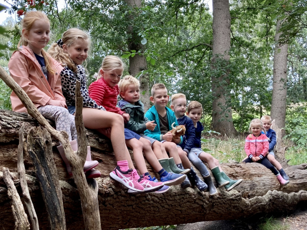 Input nodig van alle (toekomstige) vrijwilligers