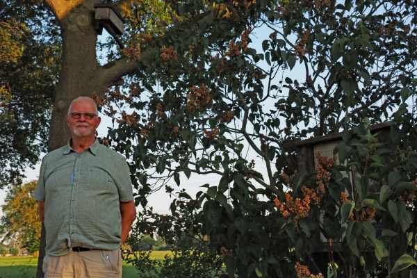Albert Stevens met boven hem in de boom een steenuilenkast