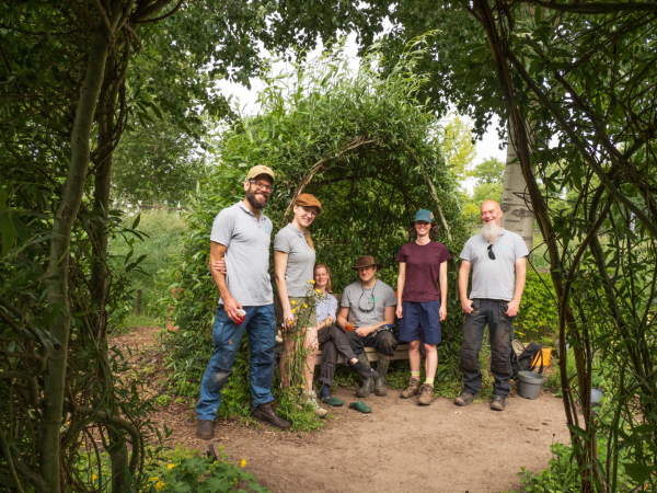 Tweedeplants planten vergroenen de stad