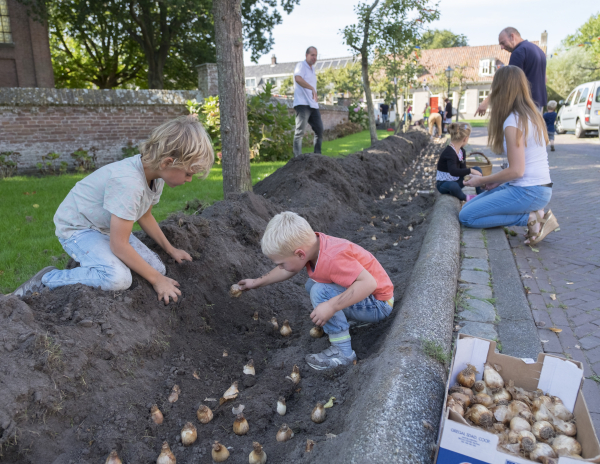 Bestel Biologische Bloembollen met hoge korting!