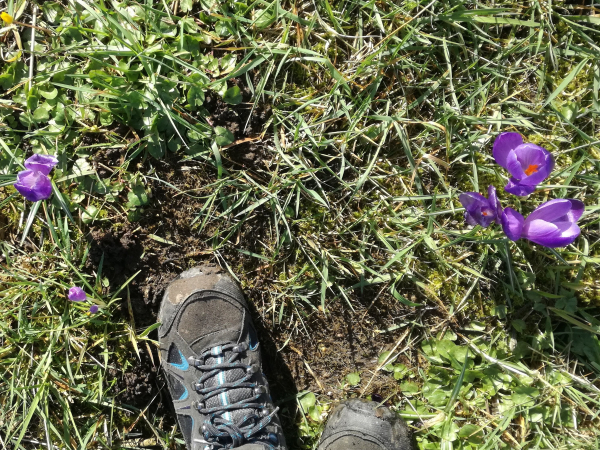 Lekker wandelen in de lente