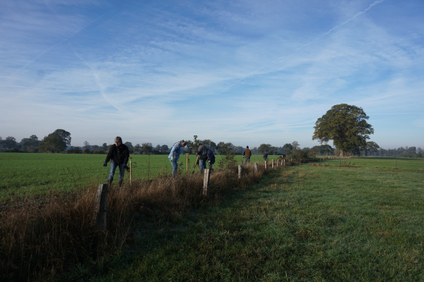 aanplant van een houtwal