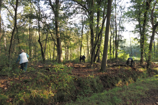 vogelkers zagen bij het Lonnekermeer