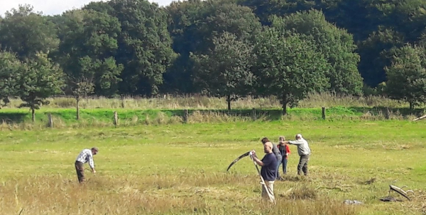Jan geeft de zeisen niet graag uit, maar ze zijn onmisbaar om het vochtige hooilandje te maaien.