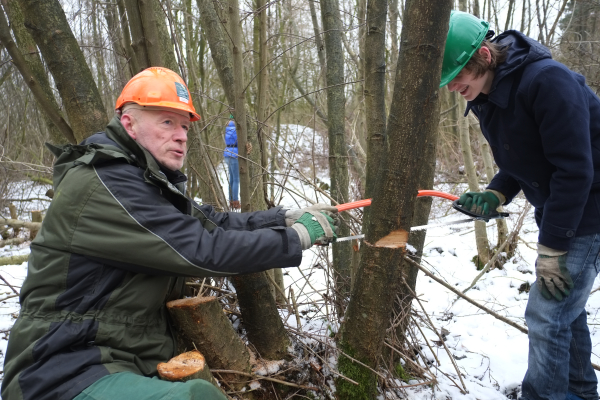 Instructie en toezicht zijn erg belangrijk in het kader van de arbo-richtlijnen