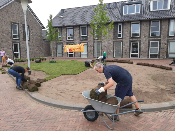 Versteende straat wordt steeds groener: adoptieterrein in gemeente Zwolle