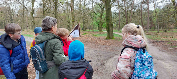 De groep meet een boom op