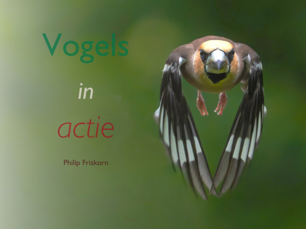 Boekpresentatie Philip Friskorn: Vogels in actie
