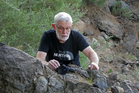 Nico Kloek