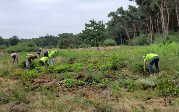 werkgroep Vogelsangh